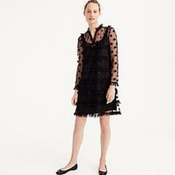 J Crew black polka dot embroidered tulle  layered dress - Picture 1 of 12